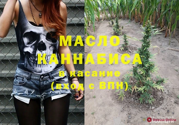 молекула духа Касимов