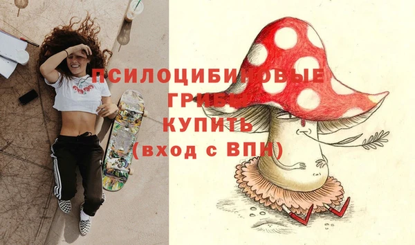 молекула духа Касимов