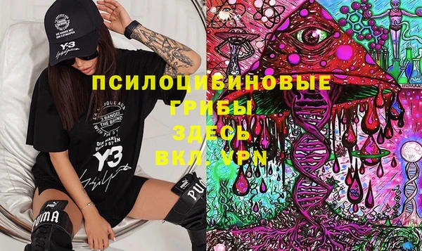 молекула духа Касимов